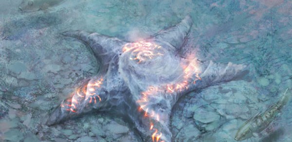 Forgotten Harvest – Water Polo