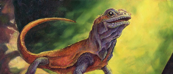 Too-Specific Top 10 - Pack Think