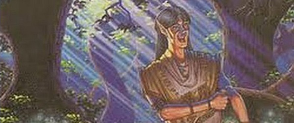 Too-Specific Top 10 - Forest for the Trees