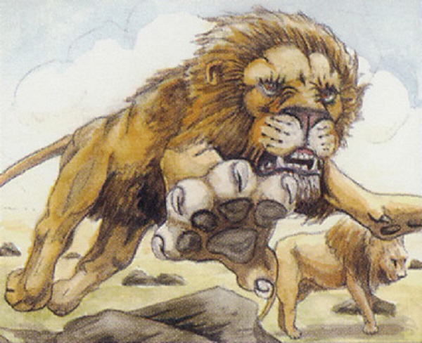 Too-Specific Top 10 - Savannah Lions