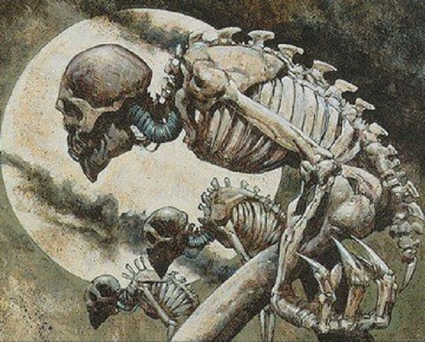 Too-Specific Top 10 - Spooky Scary Skeletons