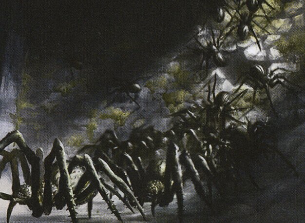 Brew For Your Buck - Spider Senses