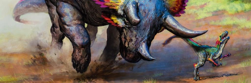 Finding Homes for Janky Cards - Emmara, Soul of the Accord