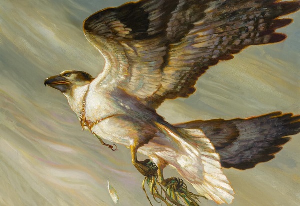 Too-Specific Top 10 - Mono-White Pauper Control