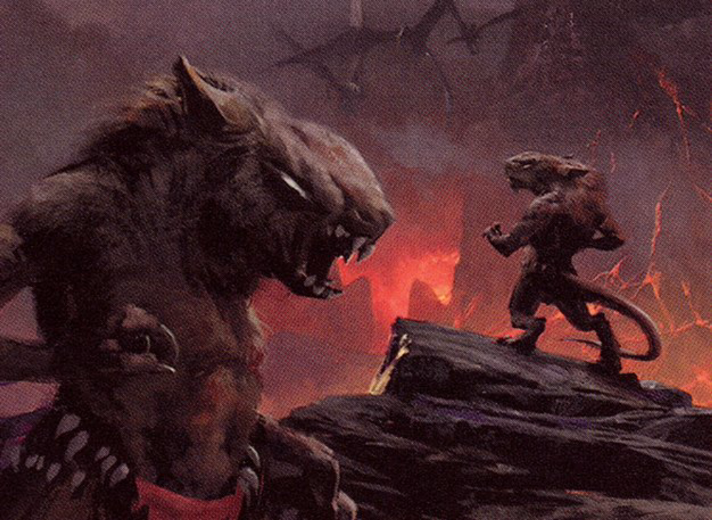 Singleton Shmingleton - Dragon Fodder