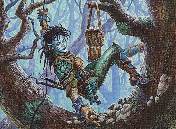 Singleton Shmingleton - Skyshroud Ranger