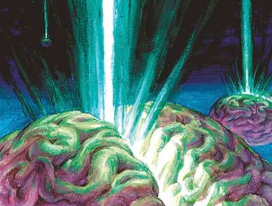 Singleton Shmingleton - Braingeyser