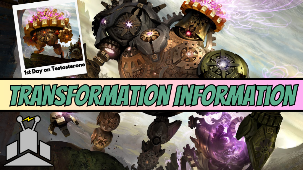 Mechanical Memories - Transformation Information