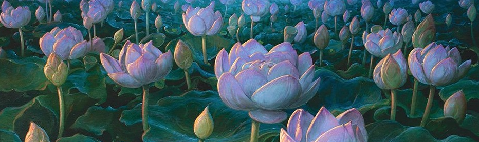 Singleton Shmingleton - Twiddle