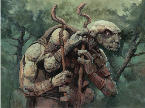 Nearly Identical - Ashaya or Yedora?