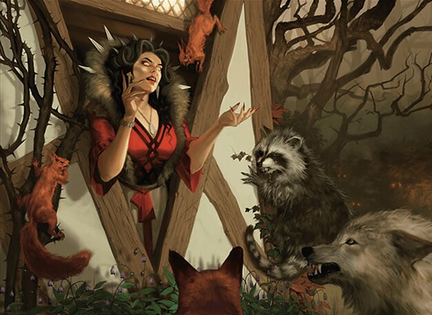 Singleton Shmingleton - Commune with Nature