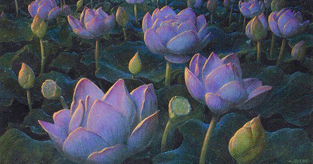 Best Land Combos in EDH