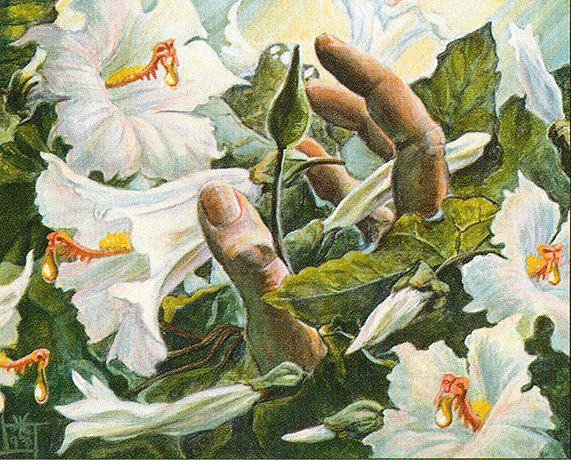 Dueling Deck Techs: Brewing With Cantrips in Commander