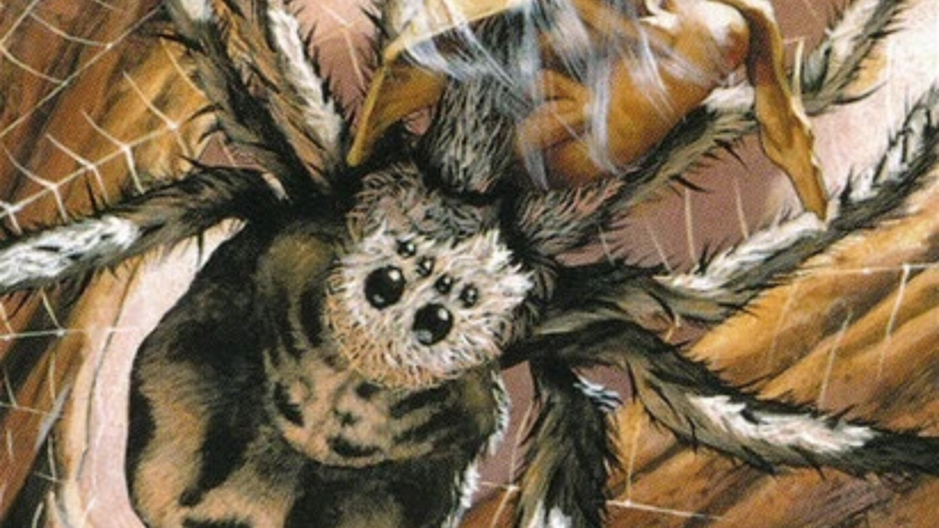 The Top 10 Non-Marvel Spiders in Magic: The Gathering