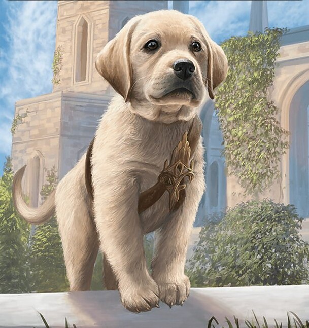 The Dog Commanders of Magic