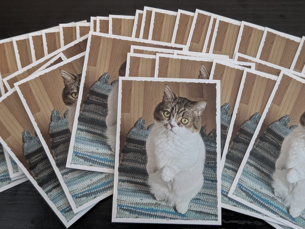 Dragon Shield custom sleeves, featuring Susan, the EDRHECat