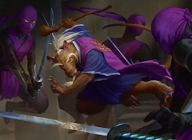 Background image for The Top 10 Most Played Cards from TMNT