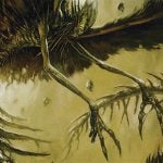 Archidekt Deckbuilding Contest Finalists - July 2026