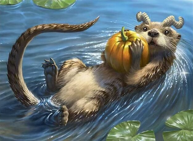 Background image for Tolabow, Loch Rascal Deck Tech