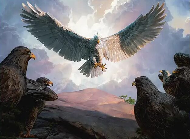 Background image for Top 10 Aggressive Fliers for The Lord of the Eagles